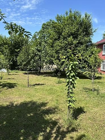 ucuz evler xirdalanda: 150 kv. m, 2 otaqlı, Qaz, İşıq, Su — 5