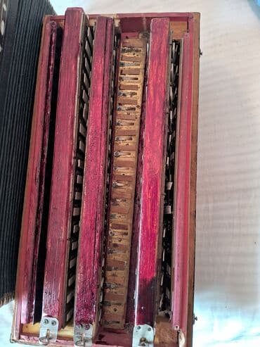 Музыкальные инструменты: Гармонь, Акустический — 4