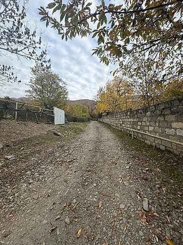rayonlar: Zaqatala rayonu, Car kəndində torpaq sahəsi satılır 📍 Sakit və — 7