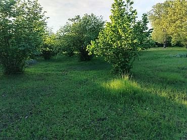 kiraye evler nefcler: 50 sot, Biznes üçün, Kupça (Çıxarış) — 8