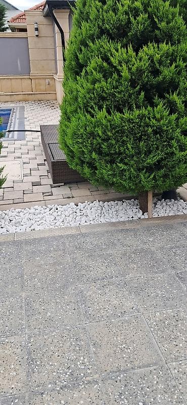 drelər: Ağ daşlar Landşaft üçün dekorativ ağ çınqıl daşları - Rəng: qar-ağ - — 2