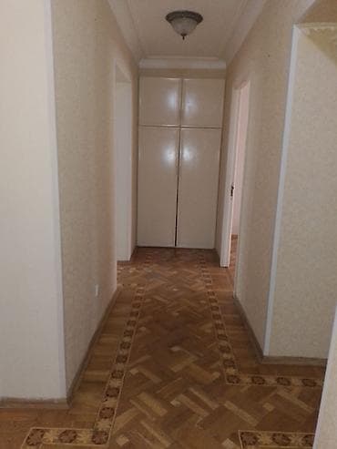 britanskiy kot: 3 otaqlı, 75 kv. m — 7