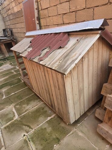 Gəmiricilər: Taxta it evi / heyvan evi - Material: tamamilə taxtadan yığılmış — 2