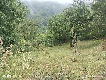 xirdalan gunluk ev: 13 sot — 8
