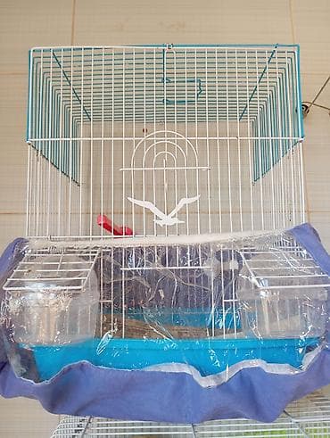 quş üçün qəfəs: Quş qəfəsi – aksessuarlarla - Material: möhkəm metal barmaqlıqlar — 1