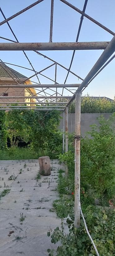 demir şifir: Hazir ferma navesdi rusun demirleridi pasi yoxdur ela vezyetdedi hazir — 4