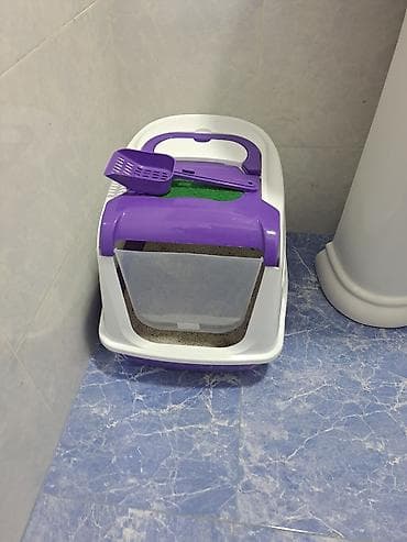 Gəmiricilər: Britan, Erkək, Yaxşı əllərə, Ünvandan götürmə — 3