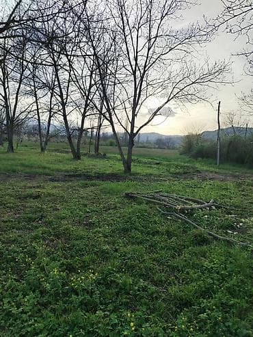 12 sot, Tikinti, Mülkiyyətçi, Kupça (Çıxarış)