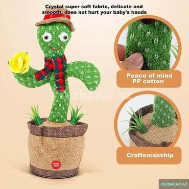 oxuyan kaktus: Kaktus Oyuncaq Zariyatqa ile işleyir Musiqi ile reqs edir Dediyivi — 2