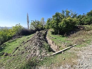 mehemmedi torpaq satisi: Kənd təsərrüfatı, Kupça (Çıxarış) — 5