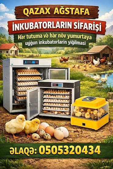 5000 yumurta, Azərbaycan, Tam avtomat