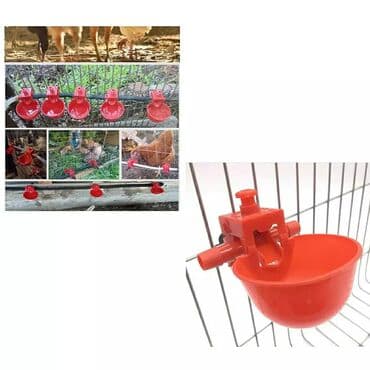 cuce yemleri: Su qabi toyuqlar üçün avtomatik su qabi yeni̇ 🐥🐔🦆🐧🐣🐤 toyuq, cüce — 2