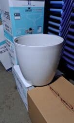 kaybolan yıllar 50: Dibcek Dibcek qabi yumru aq rengli gul.qabi yumru aq rengli dibcek — 10