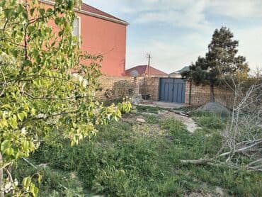 binə qəsəbəsi: 3 sot, Tikinti, Makler, Kupça (Çıxarış) — 6