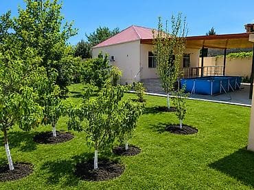 🏡 PİRŞAĞIDA HƏM YAŞAYIŞ, HƏM DƏ GƏLİR GƏTİRƏN EV! 💰 İLLİK — 1