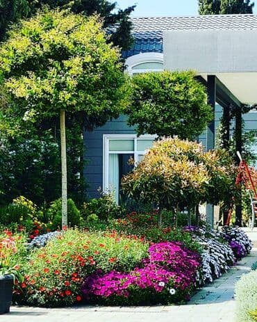 türkanda ev: 125 kv. m, 4 otaqlı, Kanalizasiya, Kombi, İnternet — 2