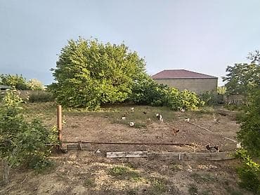 razinde kiraye evler: 8 sot, Tikinti, Mülkiyyətçi, Kupça (Çıxarış) — 2