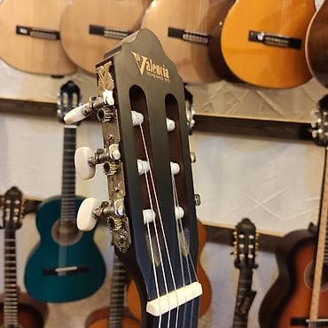 gitara çexolu: Klassik gitara Valencia VC 204 Üst:Sitka Spruce Qol: Ebonized Mahogany — 3