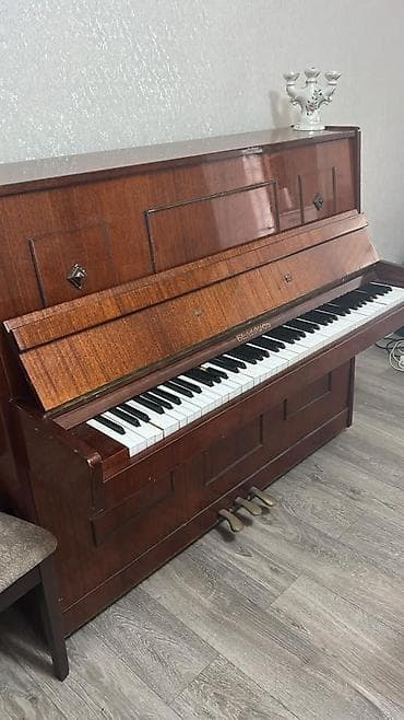 88: Piano, Belarus, Akustik — 3