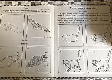 test kitab: Детские развивающие книги. Абсолютно новые и несколько прочитанных, но — 10