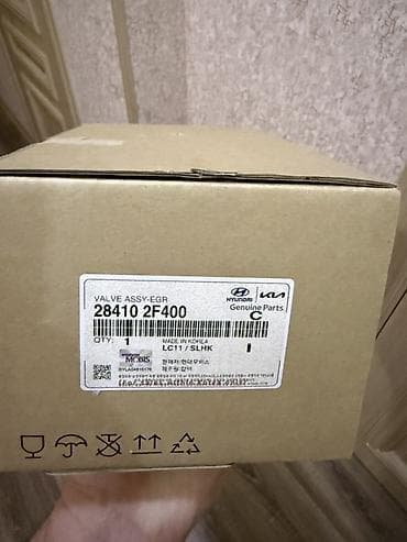 Nəqliyyat: Hyundai/Kia orijinal ehtiyat hissəsi – EGR klapan komplekti (VALVE — 1