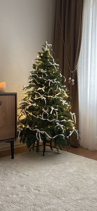 Vazalar: 1.50 yolka 80 azn — 1