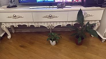 düz divanlar: İşlənmiş, Düz TV altlığı, Polkasız, Taxtalı, Azərbaycan — 2