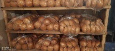 nur corek zavodu vakansiya 2020: Dönər çörəyi baton çörəyi burger çörəkləri Təndir Dönər Təndir rumizin — 4