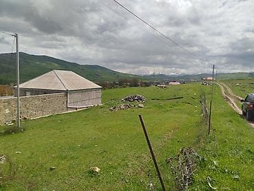 17 sot, Tikinti, Mülkiyyətçi, Kupça (Çıxarış)