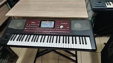 dgi mikrofon: Sintezator, Korg, Yeni, Ünvandan götürmə — 4