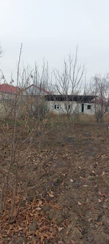 qazaxda torpaq satilir: 8 sot, Tikinti, Mülkiyyətçi, Kupça (Çıxarış) — 1