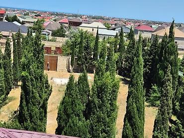 бузовна: 10800 соток, Бялядия (муниципалитет) — 8