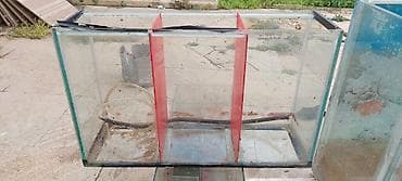 kompressor akvarium: Akvaryum və bölməli yetişdirmə qabları dəsti 2×0.50×0.28 280 litr — 3