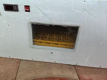 inkubator cucesi: 100 yumurta, Azərbaycan, Tam avtomat, Bütün növ quşlaq üçün — 2