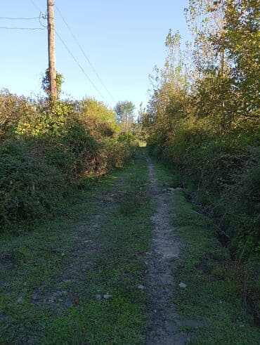 xudu məmmədov küçəsi: Tikinti — 4