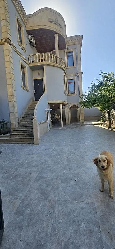 Həyət evləri və villaların satışı: Badamdar qəs. 7 otaqlı, 270 kv. m, Kredit yoxdur, Yeni təmirli — 8