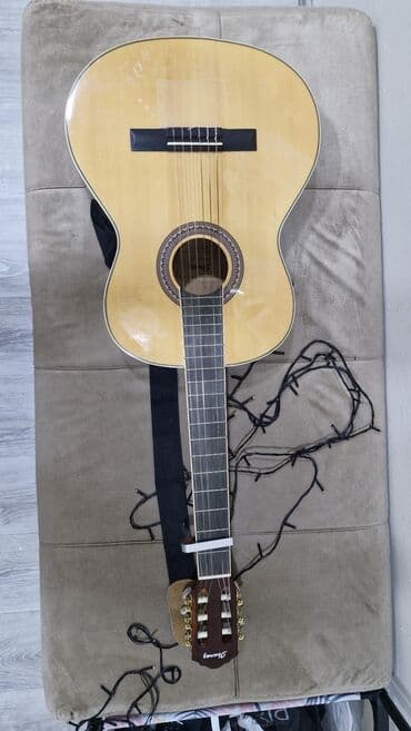 İdman və istirahət: Klassik gitara, Ibanez — 4