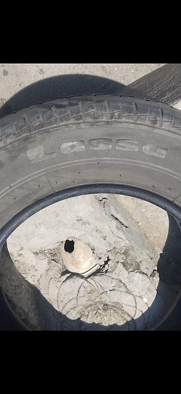 Nəqliyyat: Şin Lassa 215 / 75 / R 16 — 1