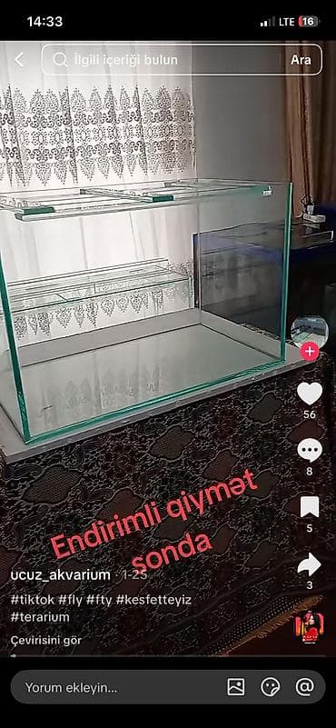 heyvanlar atlar: Şüşə akvarium dəsti - Şəffaf, düz kənarlı şüşədən hazırlanmış — 4