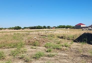 Daşınmaz əmlak: 20 sot, Kənd təsərrüfatı — 2