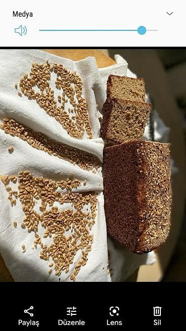 Cucermis buqda coreyi. Dunyanin en xeyirli coreyi statusu alib bu — 3