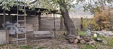 ipoteka ile satilan evler: 36 sot, Kənd təsərrüfatı, Mülkiyyətçi, Kupça (Çıxarış) — 4