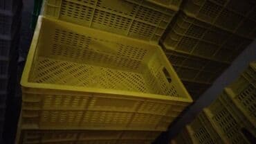 konteynerlərin satışı: Plastik delikli yeşik/çalma səbət - Material: möhkəm plastik - — 5