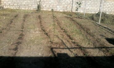 hörgü işləri: Sokuntu islerinin gorulmesi — 4