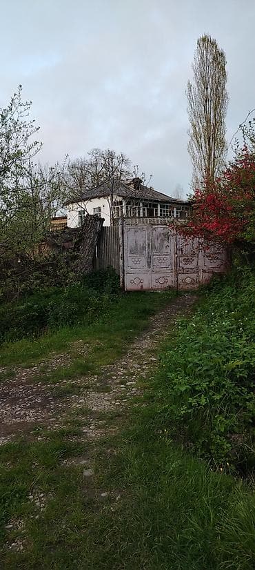 dubendi baglari torpaq: Satış üçün: həyətyanı torpag - Sahədə müxtəlif kol və meyvə ağacları - — 1