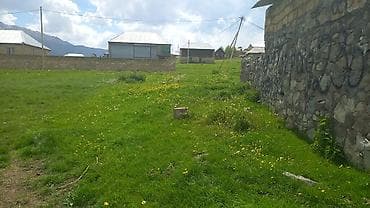 bag satilir: Tikinti — 3