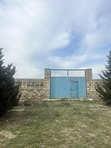 61 sot, Biznes üçün — 3