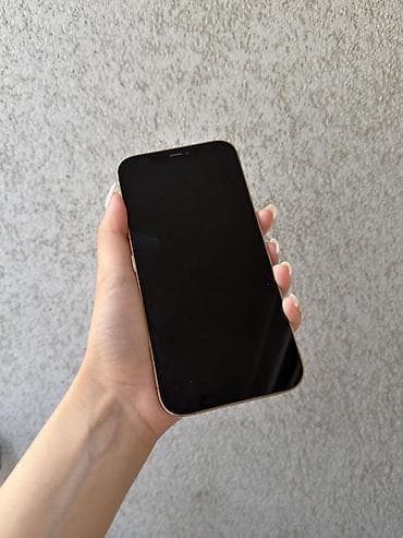 mac pro: IPhone 12 Pro Max, 128 GB, Rose Gold, Face ID, Sənədlərlə — 4