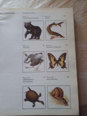 объявлений: Книги о животных. Чтобы посмотреть все мои объявления,нажмите на имя — 2