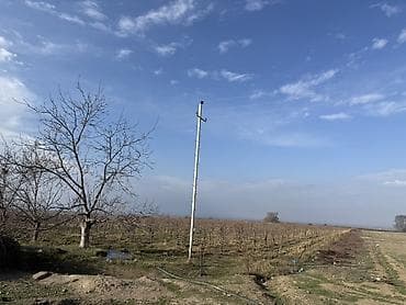 2 otaq kiraye evler: Kənd təsərrüfatı — 2